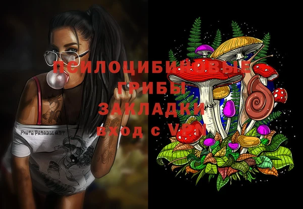 марки lsd Гусь-Хрустальный