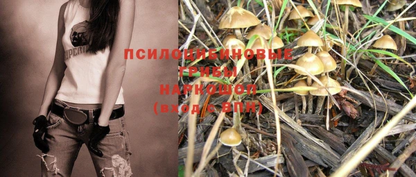 mdpv Гусев