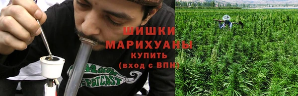 mdpv Гусев