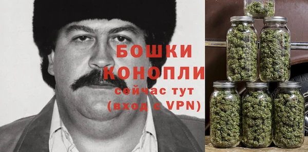 mdpv Гусев
